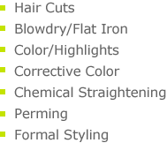 hair cuts, blowdry/flat iron, color/highlights, corrective color, chemical straightening, perming, formal styling